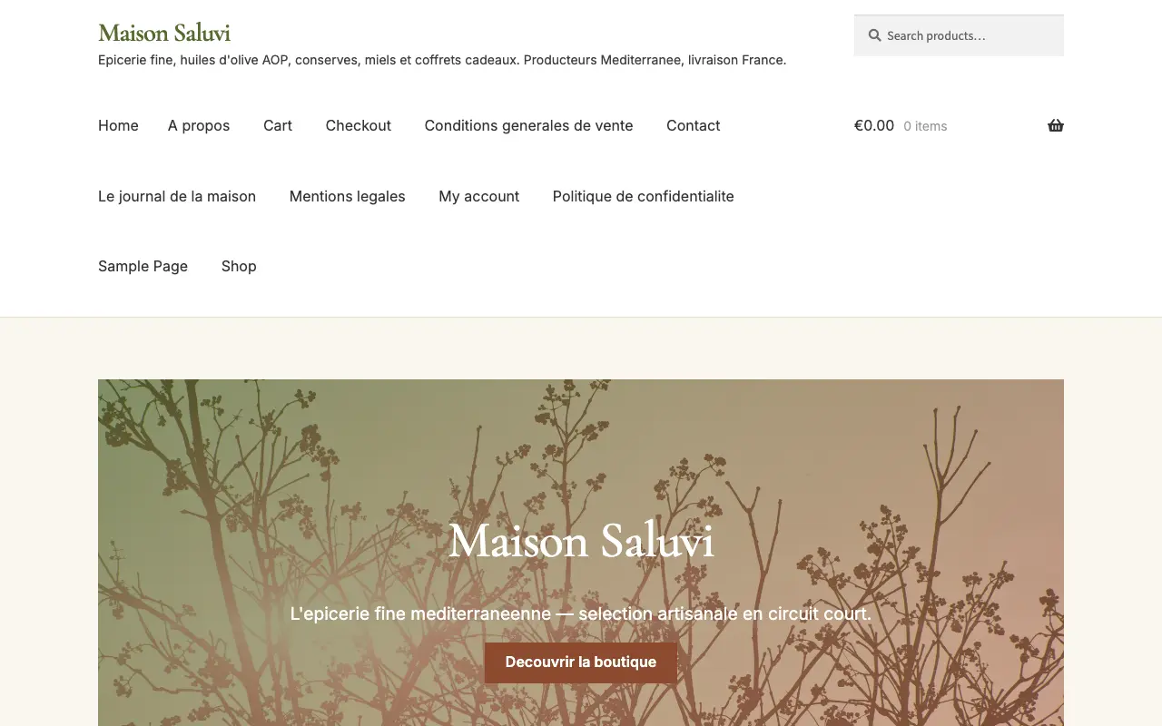 Capture du site démo Maison Saluvi